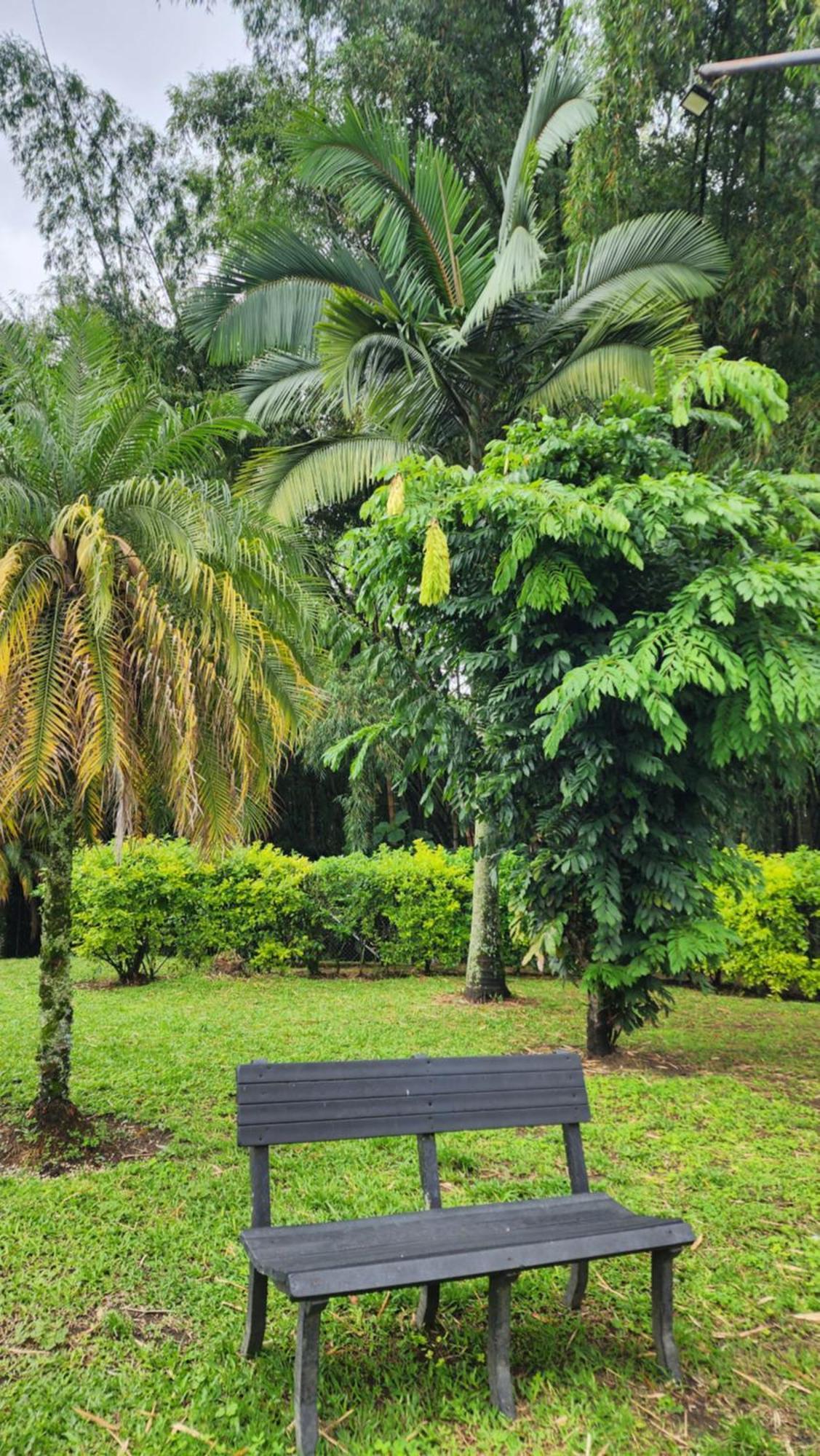 Apartamento Nuevo, Eje Cafetero, Rodeado De Naturaleza. El Edén