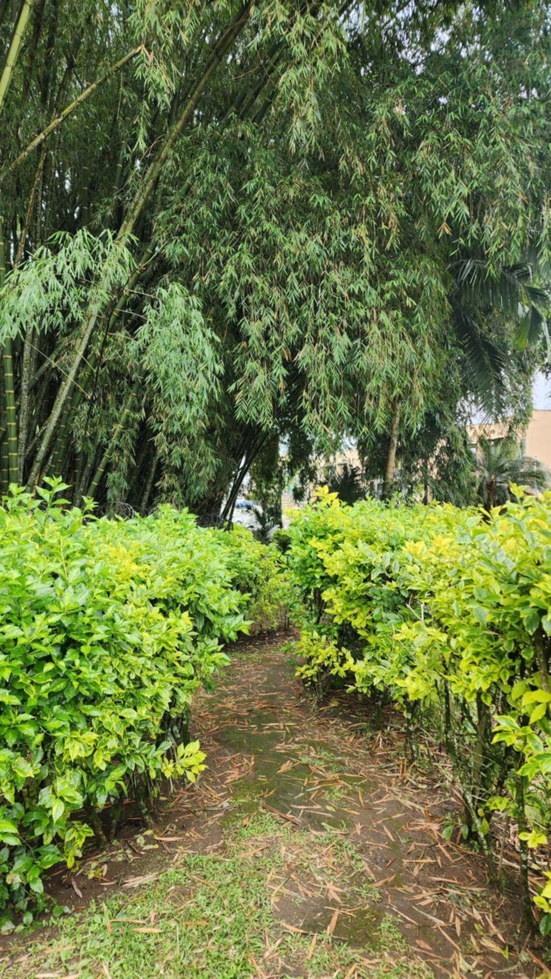 Nuevo, Eje Cafetero, Rodeado De Naturaleza. *